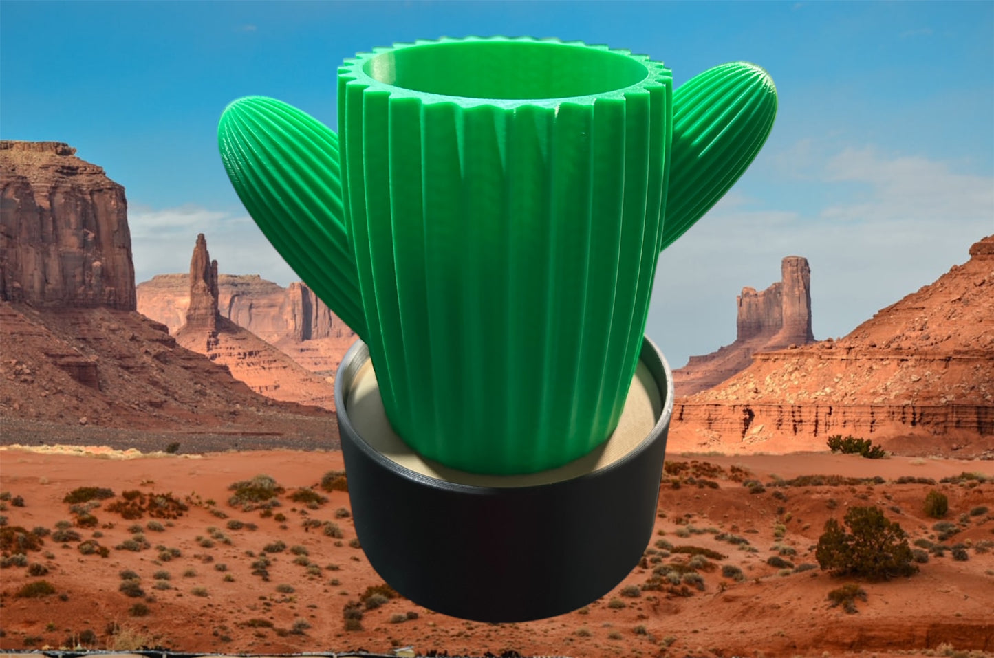 Cactus Pen Holder