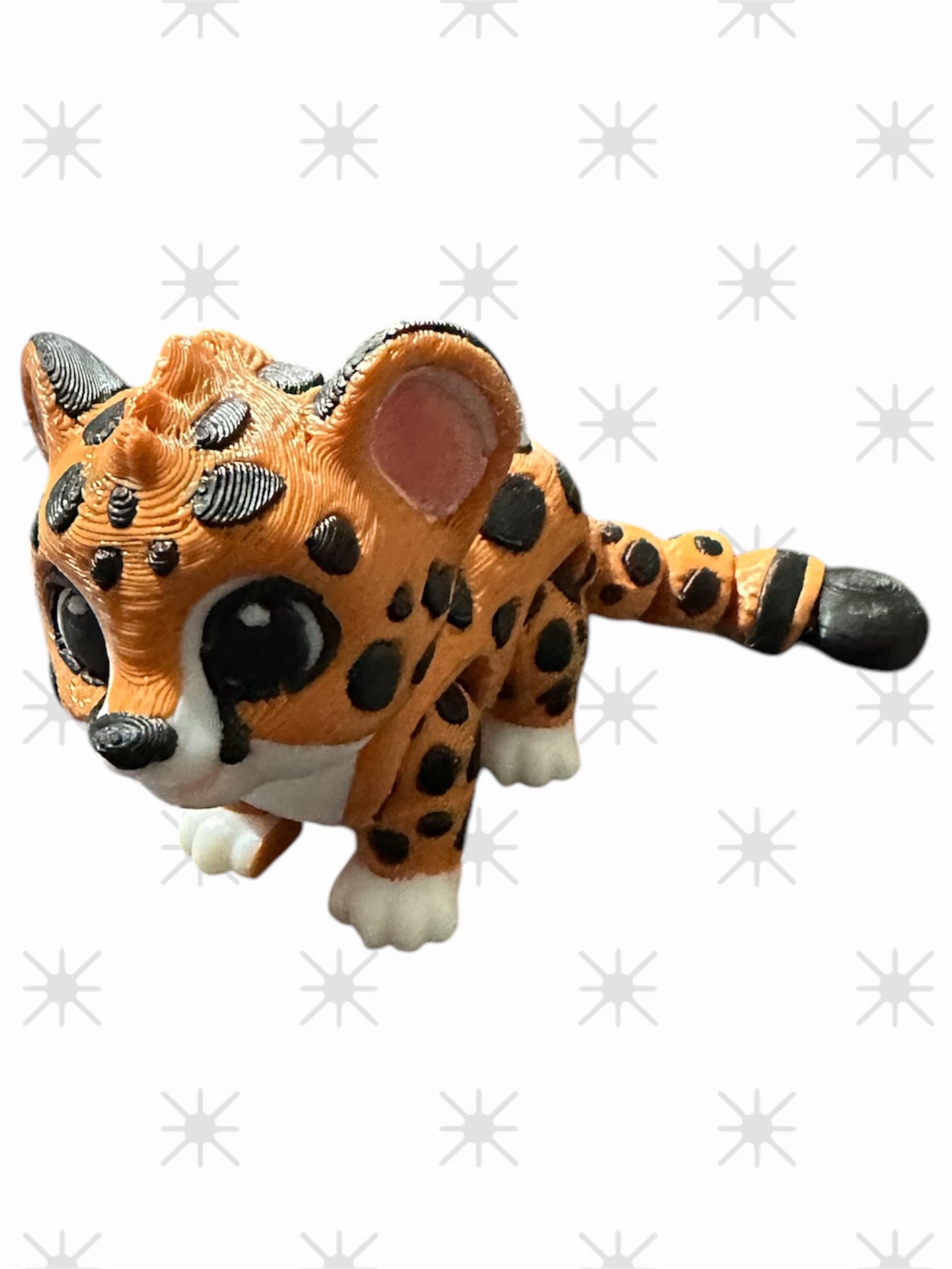 Baby Cheetah