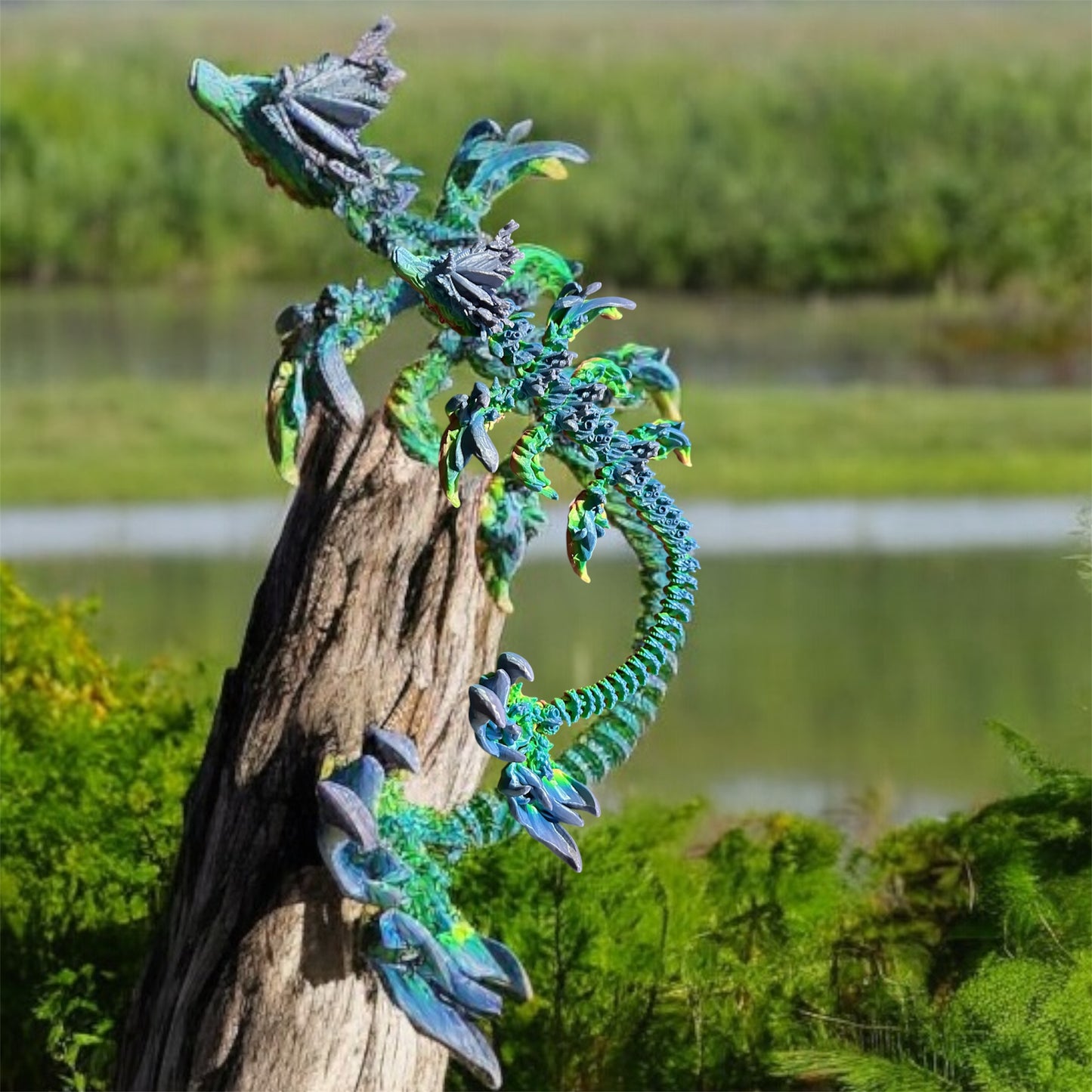 Articulated Dragon Coral Reef